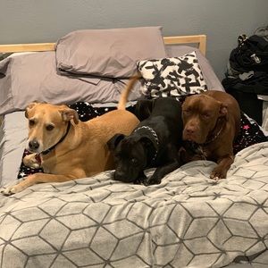 EVERY purchase helps us get spoiled !!